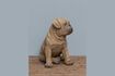 Miniatura Figura perro resina marrón Pug 2