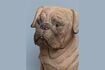 Miniatura Figura perro resina marrón Pug 6