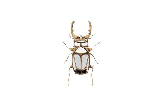 Figurita de pared insecto resina dorada Espejos Clipped