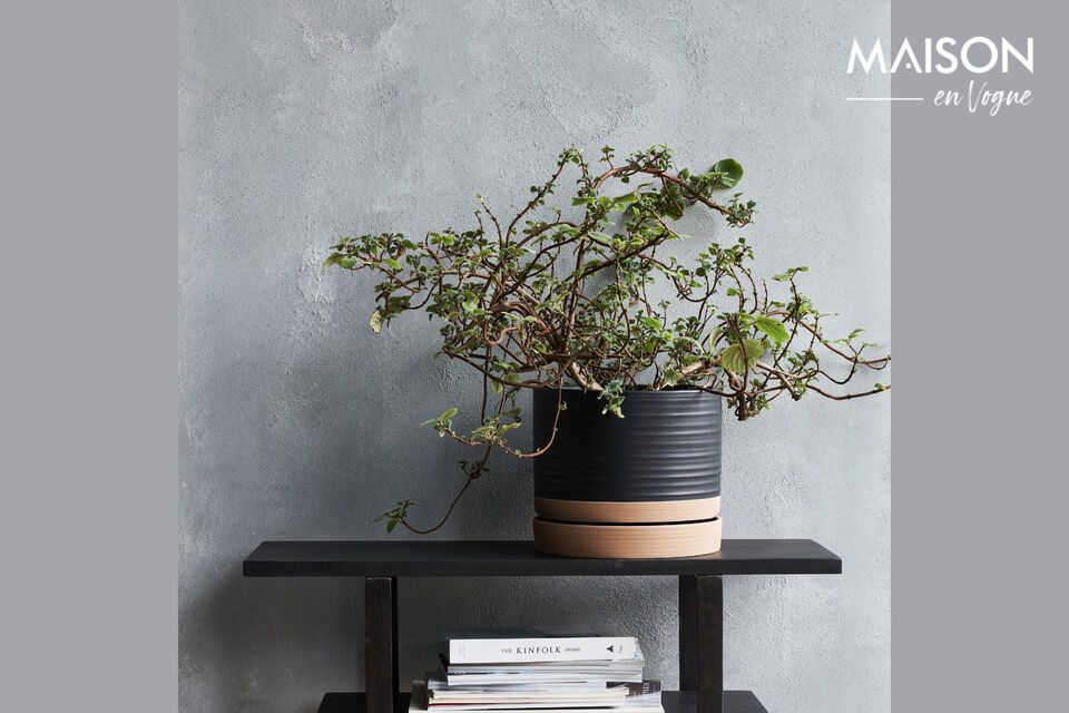 Elegancia contemporánea para sus plantas, en gres negro y natural.