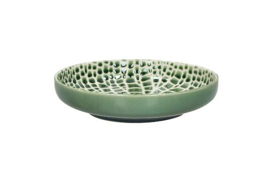 Plato de porcelana verde loto Clipped