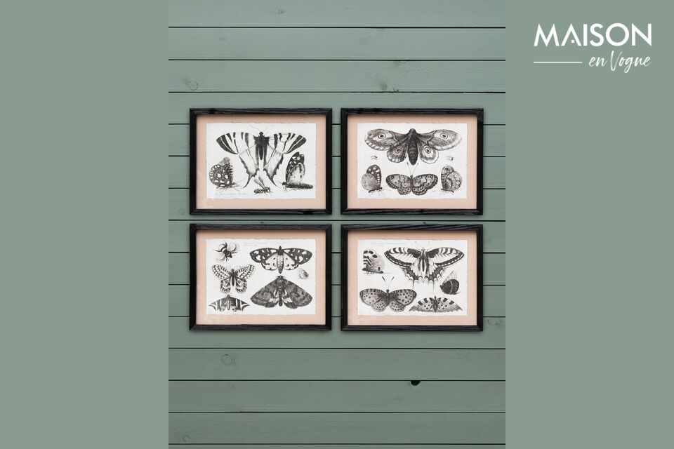 Set de 4 marcos de madera negros Mariposas Chehoma