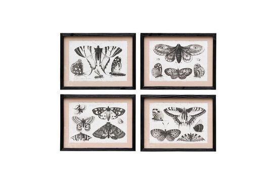 Set de 4 marcos de madera negros Mariposas Clipped